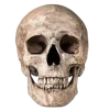 💀