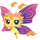 ✨️