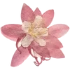 🌺