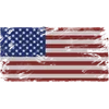 🇺🇸