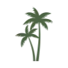 🌴