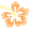 🌷