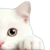 ⭐