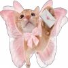 🐱