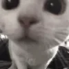 😗