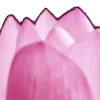 🗝