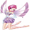 ✨