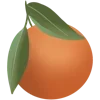 🍊