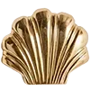 🐚