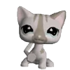 🐱