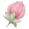 🌸
