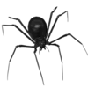 🕷