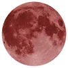 🌕