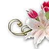 🌷