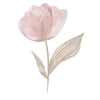 🌸