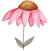 🌸
