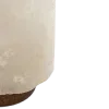 🐈