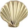 🐚
