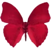 🦋