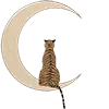 🌛