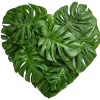 🍀