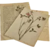✉️