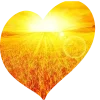 💛