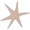 ⭐️