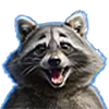 🦝