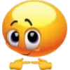 🌟