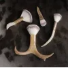 🤩