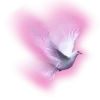🕊