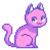 🐱
