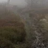 🌫️