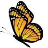 🦋