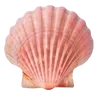 🐚