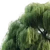 🌳