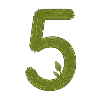 5️⃣