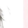 ⭐️