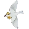 🕊