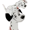 🐶