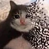 🥲