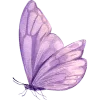 🦋