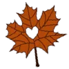 🍁
