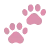 🐾