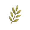 🌿