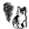🐈