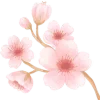 🌸
