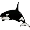 🤩