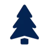 🌲